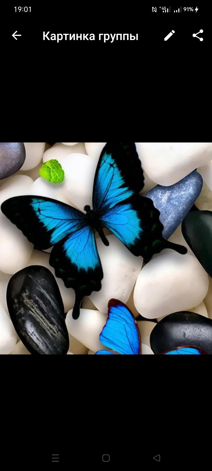 ❤‍🔥🤍💞Г🅿️УПП🅰️ ФИЛЬТ🅿️❤‍🔥🤍💞