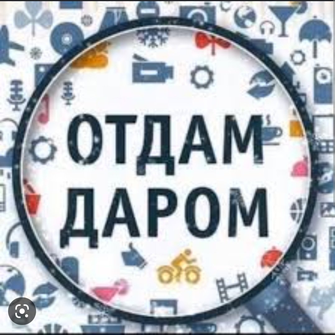 Отдам даром Амур Обл