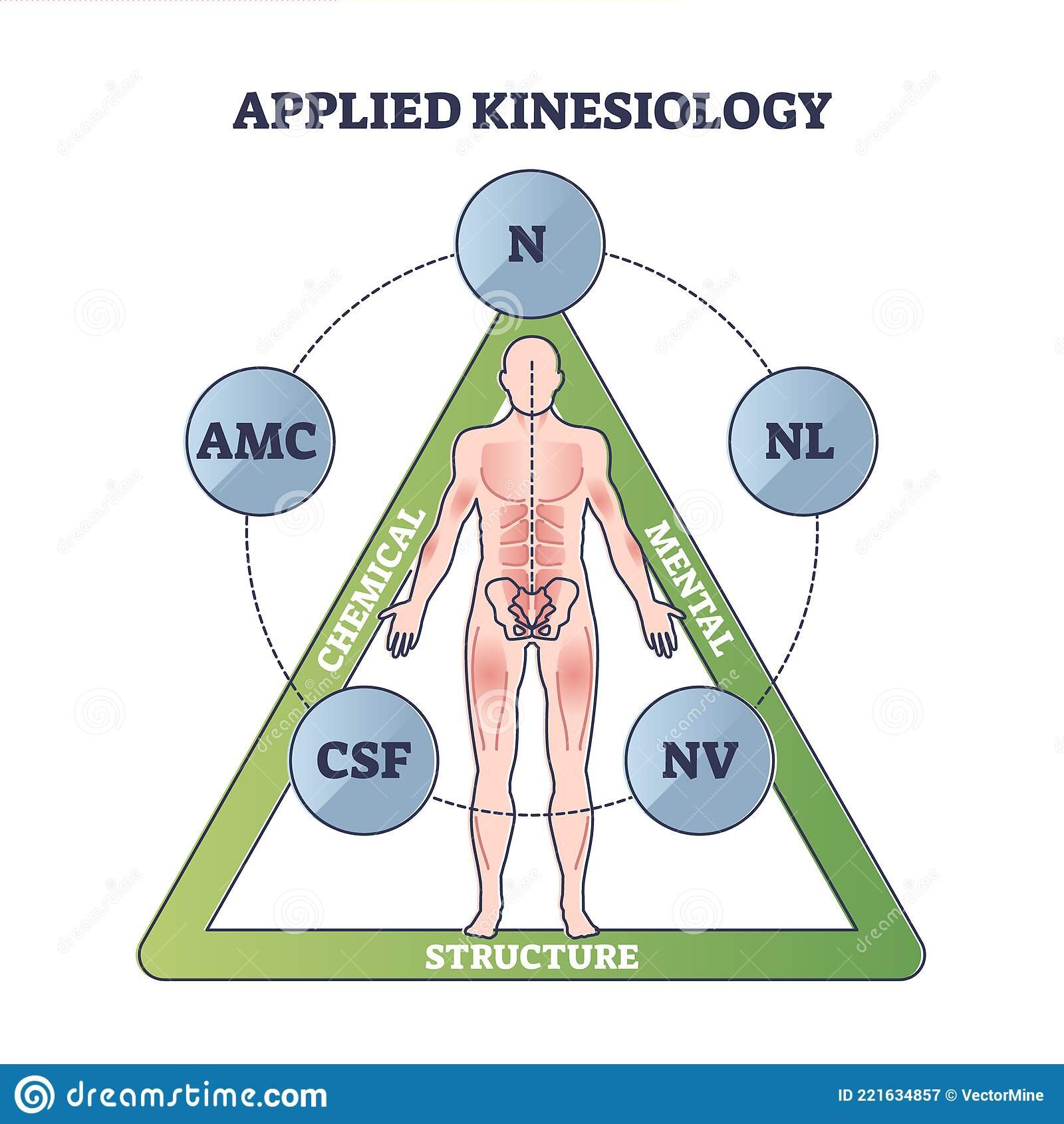 Кинезиология | Медицина будущего