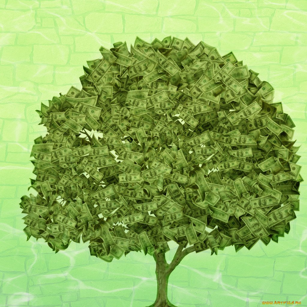 Finances Analytical System (FAS)