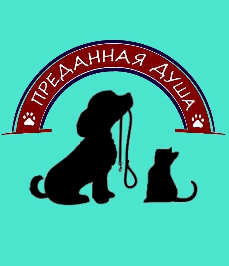 Преданная душа