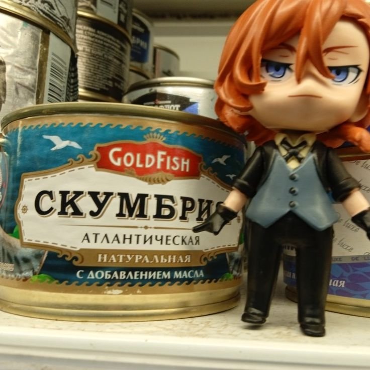 Ролевая по бродячим псам