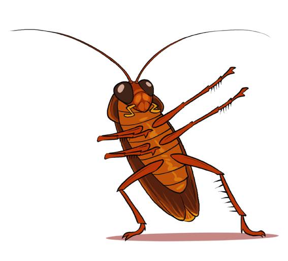 Дез-про - дезинсекция Казань