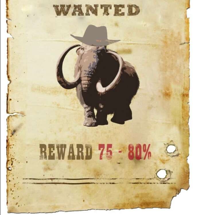 Мамонт в крипте 🦣