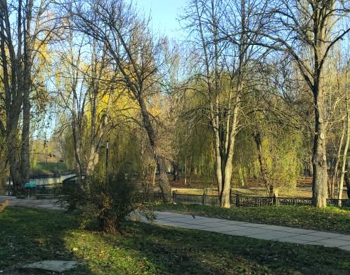 Разумно жить не запретишь