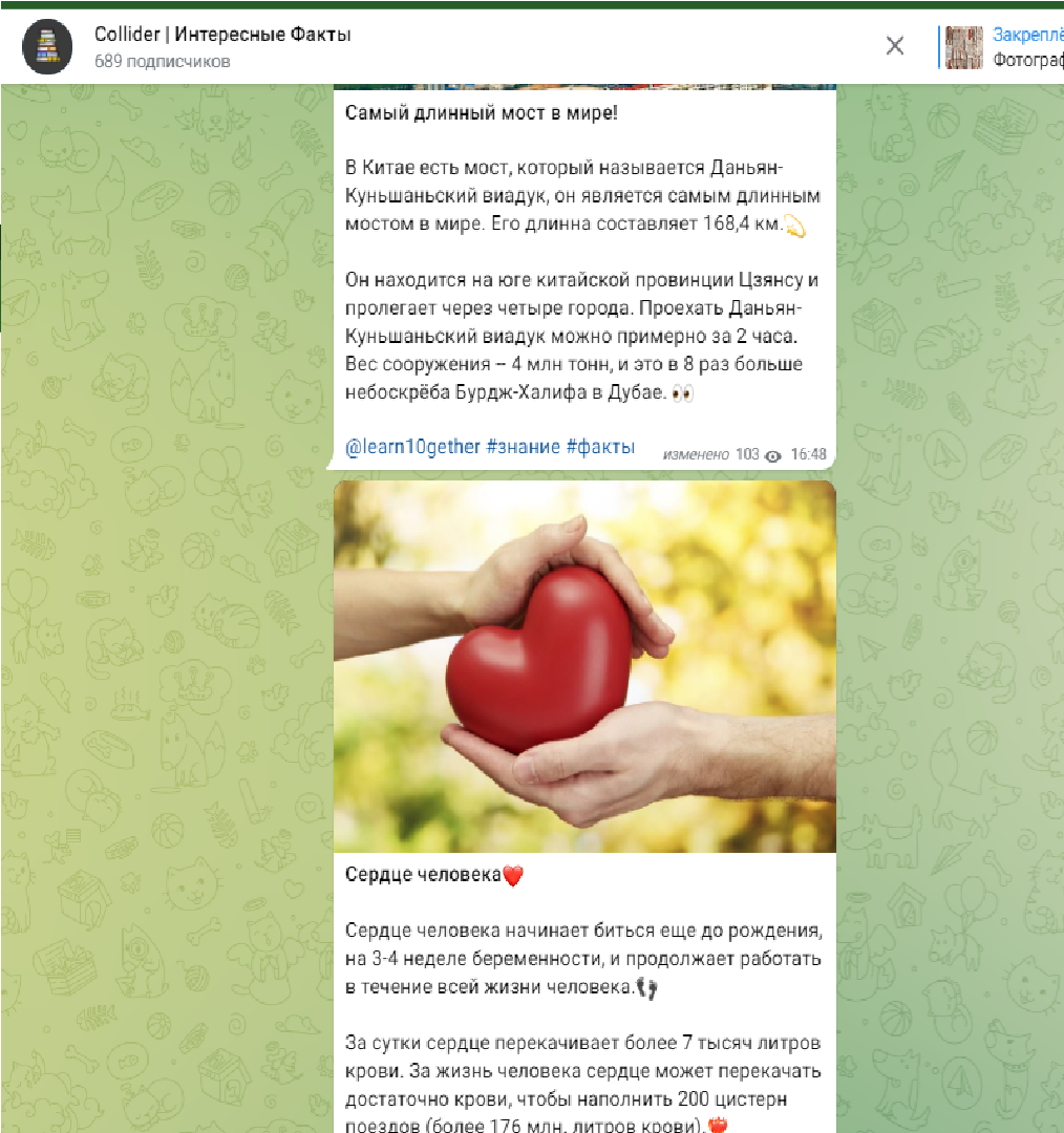 Collider | Интересные Факты