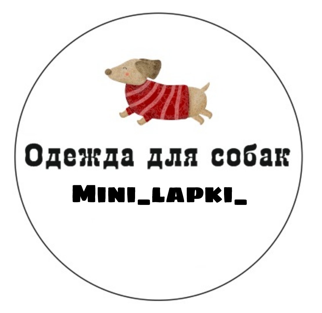 Одежда для собак