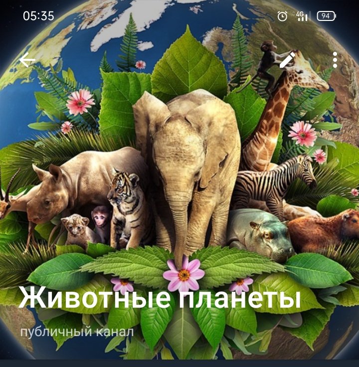 Животные планеты