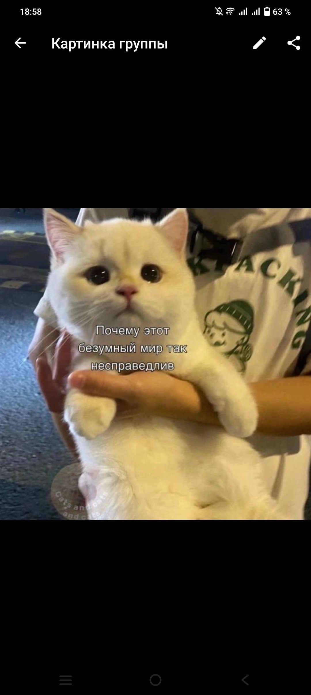 Безумный мир