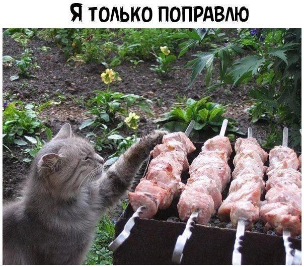 Точно зайдёт🔞