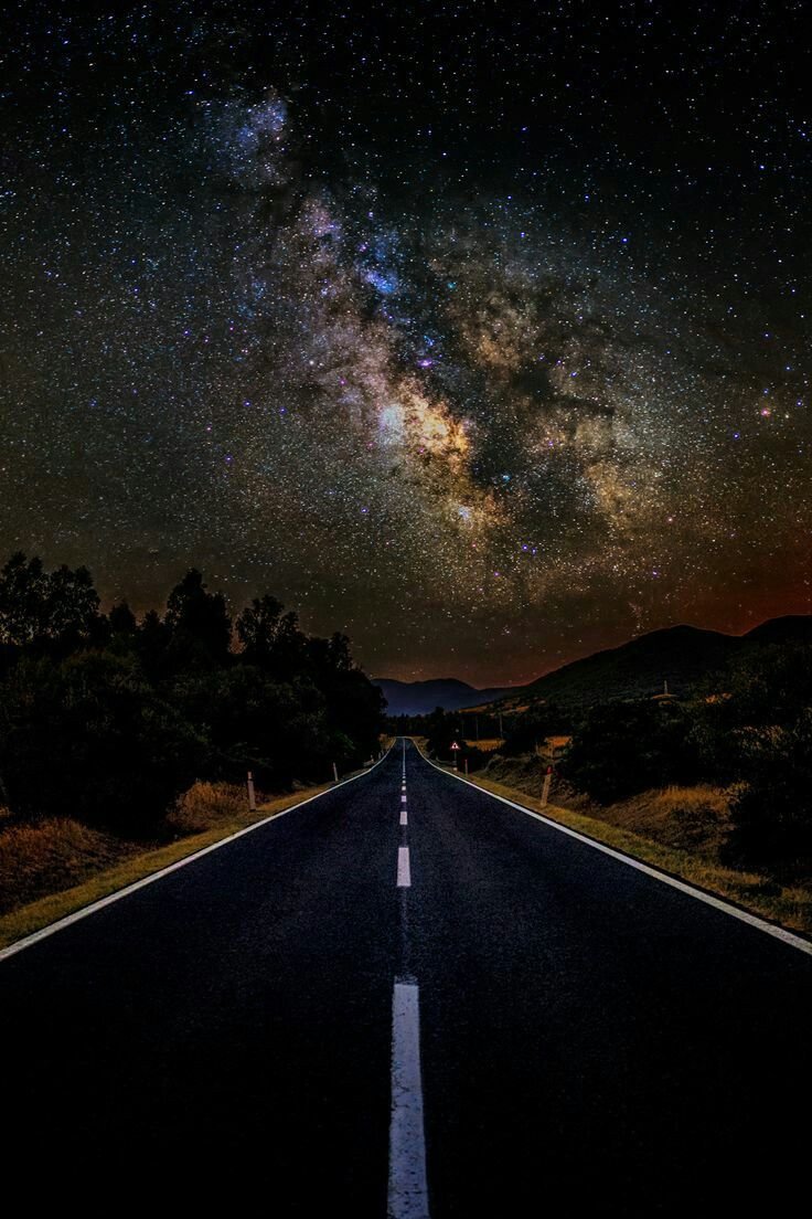 Ночной переполох