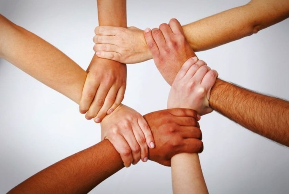 Соседи по району от Авроры до Репина