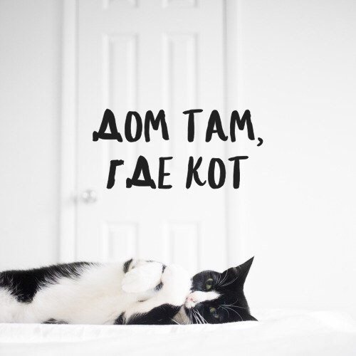 Стикерная общалка