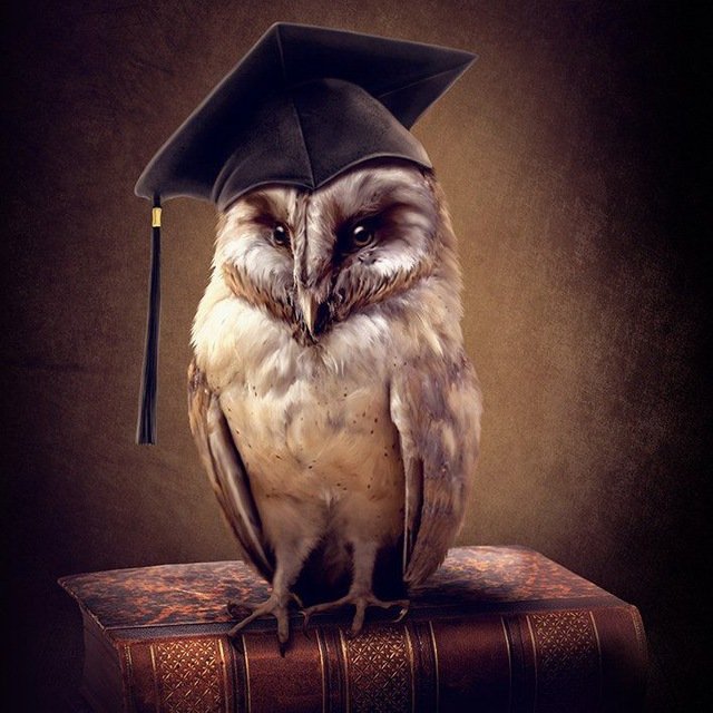 Мудрость (Саморазвитие)