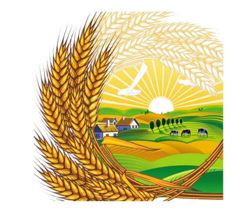 СЕЛЬХОЗ КУБАНЬ ПРОДУКТ