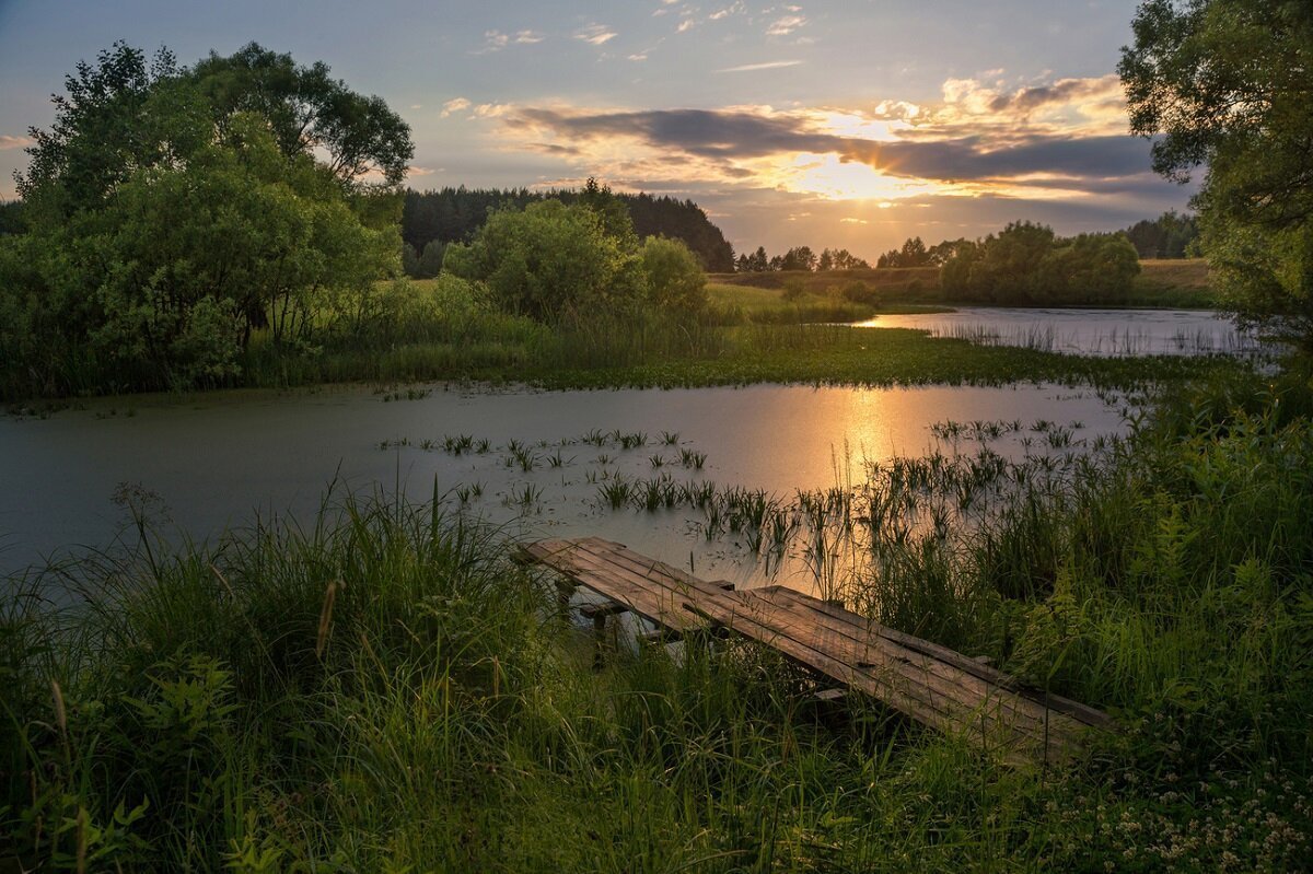 Школа медицины