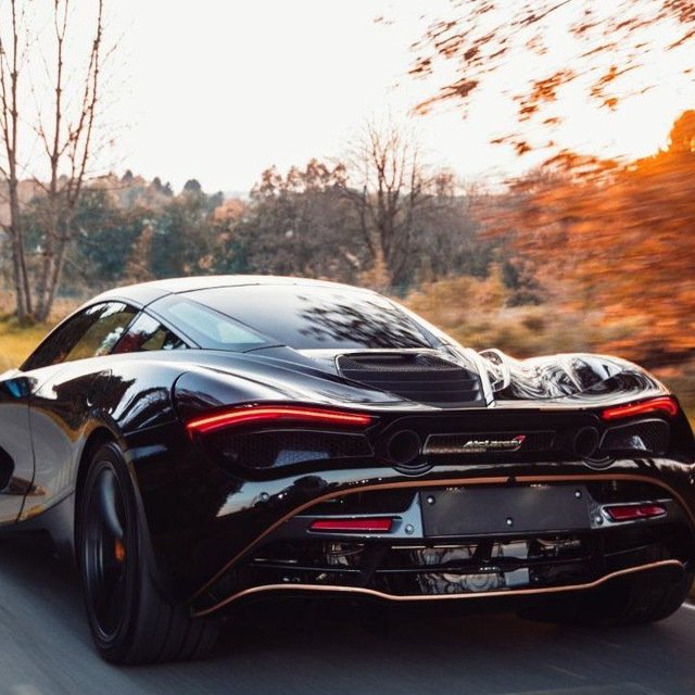 The Car Enthusiasts🚗