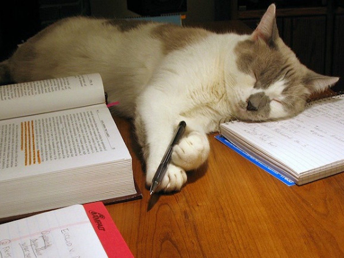 Егэ по русскому языку