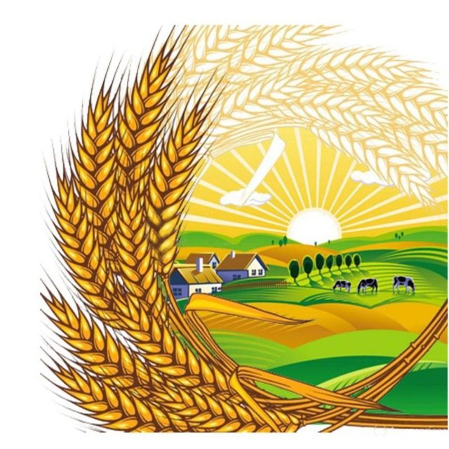 СЕЛЬХОЗ КУБАНЬ ПРОДУКТ