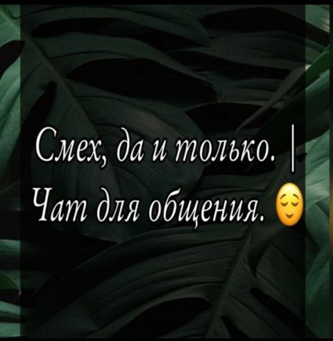 Смех да и только| Чат-общалка