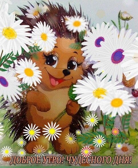 Коммунальная квартира