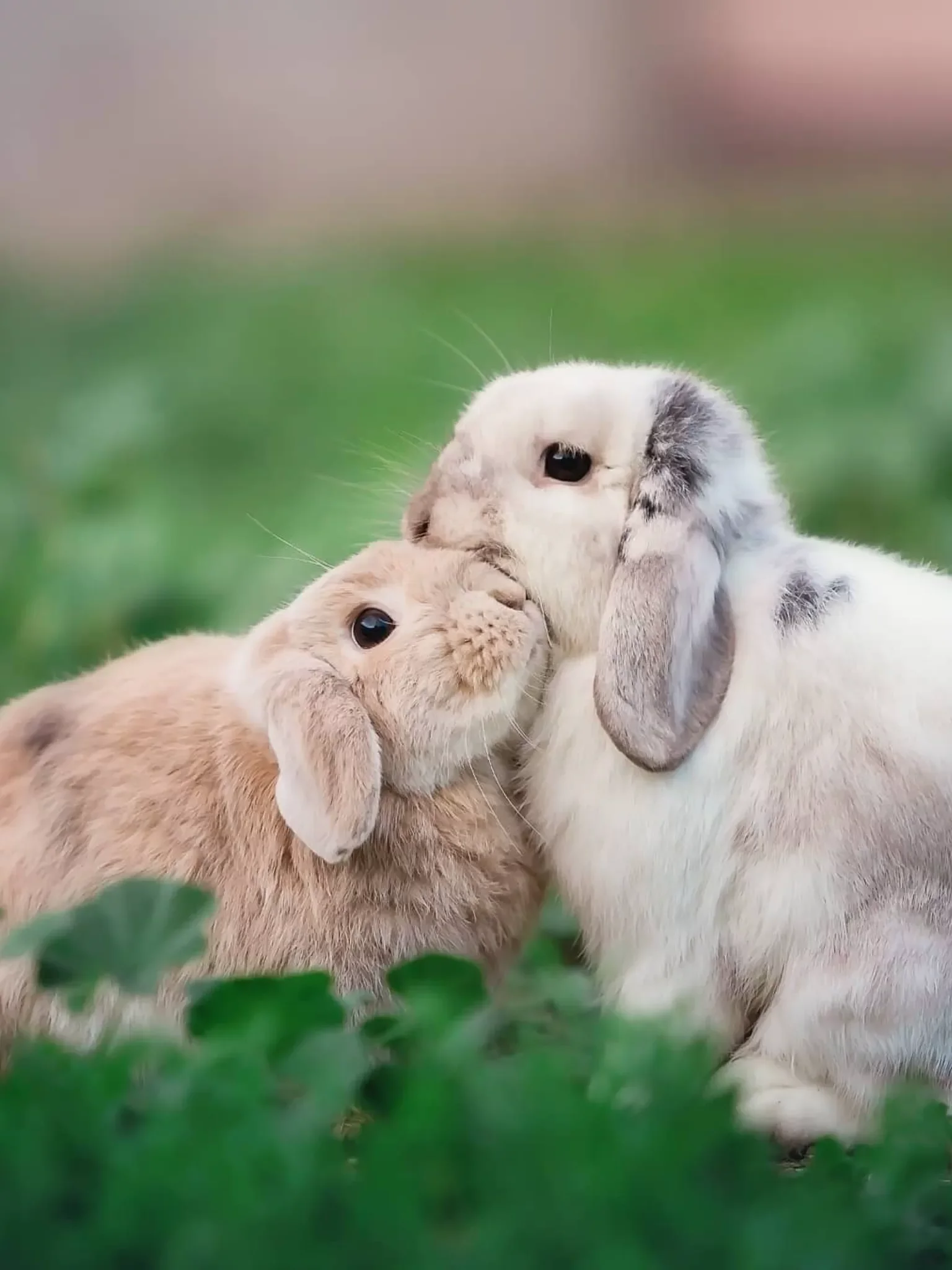 Дружба и общение