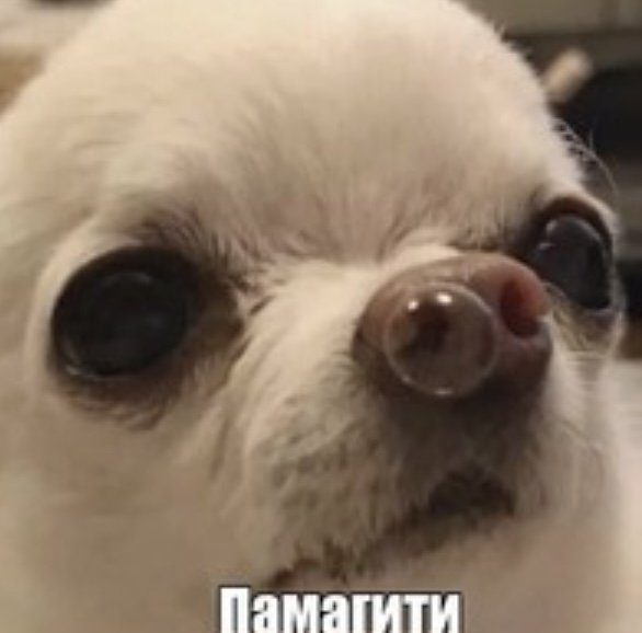 ⛔️🫧 Ոρ০⊂τ০ ⊂∂ℯᏁᏘú ∋τ০🫧⛔️(21+ )