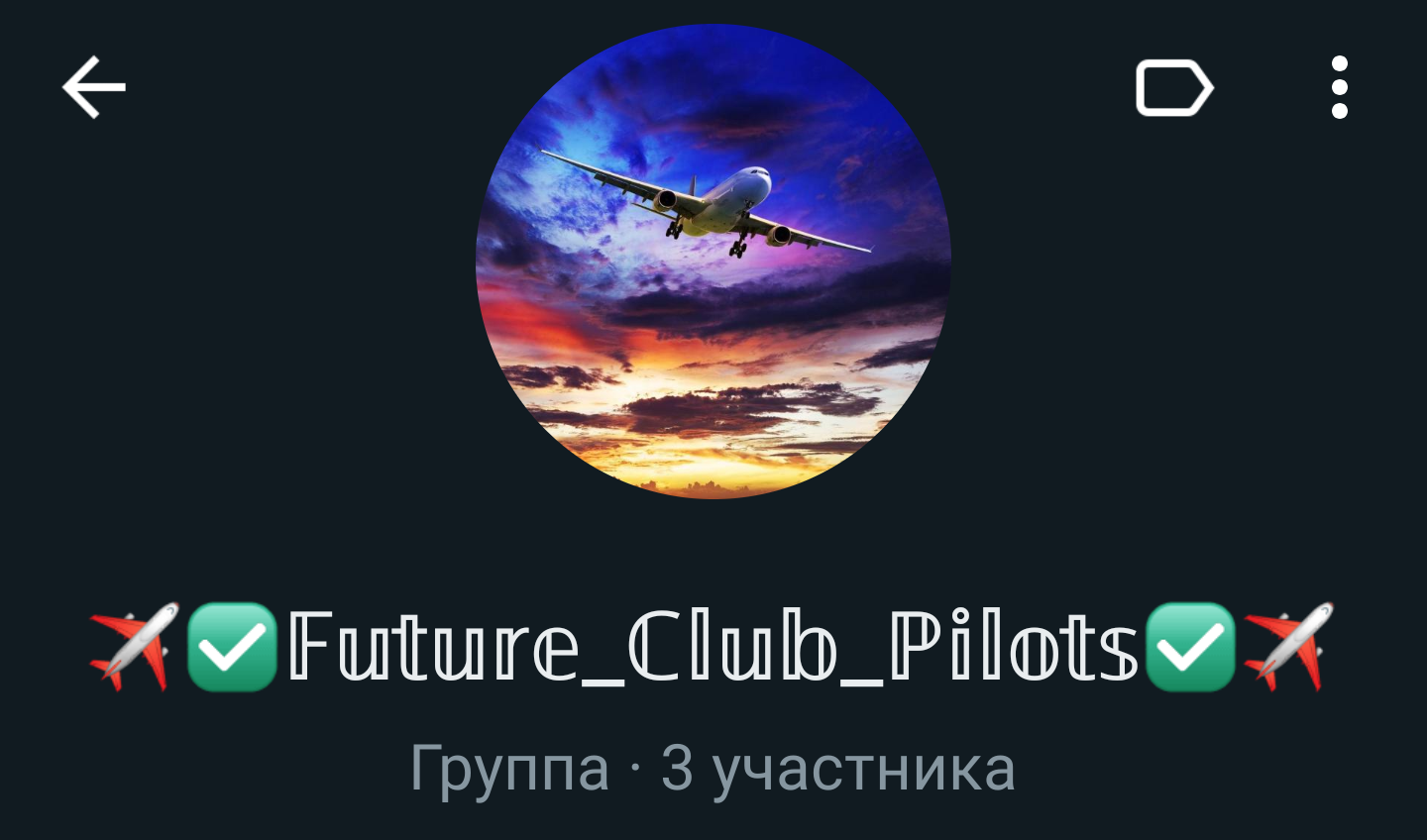 ✈✅𝔽𝕦𝕥𝕦𝕣𝕖_ℂ𝕝𝕦𝕓_ℙ𝕚𝕝𝕠𝕥𝕤✅✈
