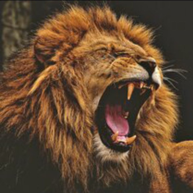 Мужской характер