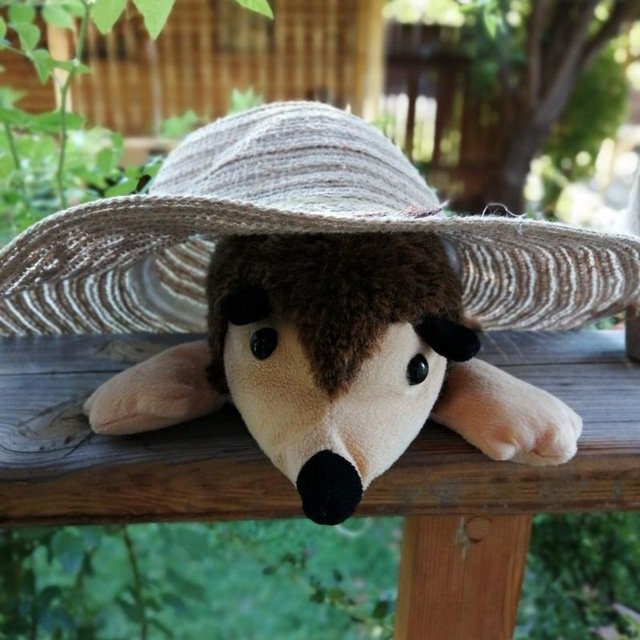 Домик хренобуса