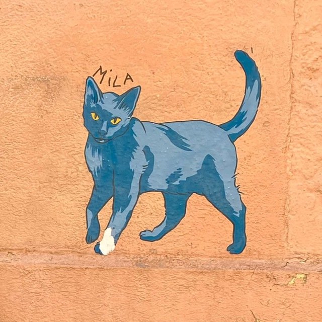 Котик&Котик