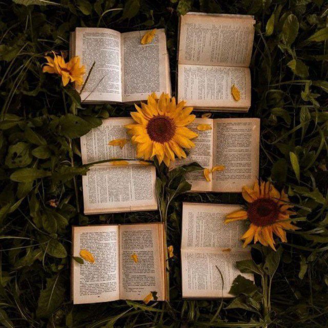 Электронные книги