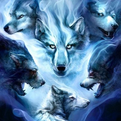 Стикерная волка