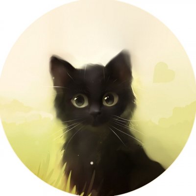 Мой Типичный Кот 😻