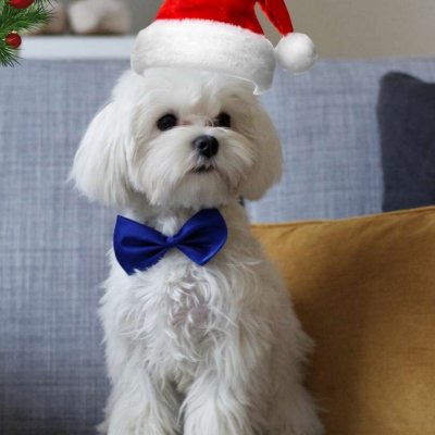 Цель 800 человек VIP 0+