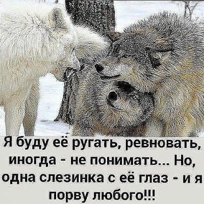 🎧𝕮𝖍𝖆𝖙🎧🏆KROVATKA🏆ViP🎙🔝1️⃣8️⃣➕