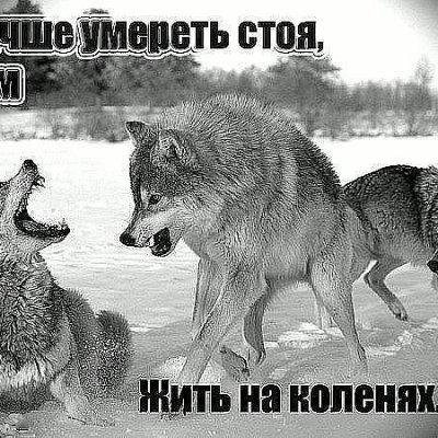 ꧁𓊈𒆜Чат 18+ 🅺🆁🅾🆅🅰🆃🅺🅰𒆜𓊉꧂