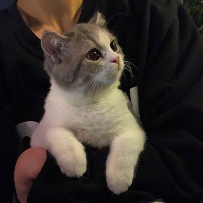 ℕ𝕒𝕡𝕠𝕞𝕚𝕟𝕒𝕟𝕚𝕖 𝕤𝕖𝕓𝕖