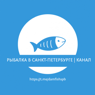 🔹 Рыбалка в Санкт-Петербурге | Питере | Лен. области