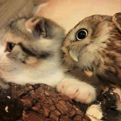 П0xудение/худение