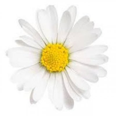 На пути к 30 миллионам!