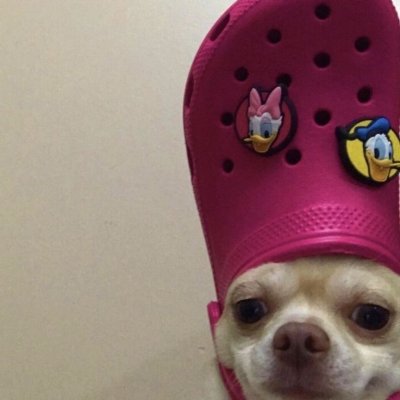 Единственная радость