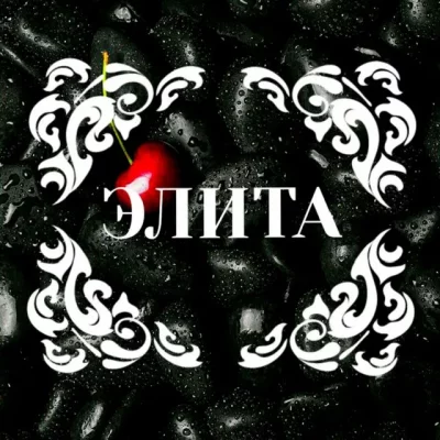 👑꧁༺Elita ༻꧂👑