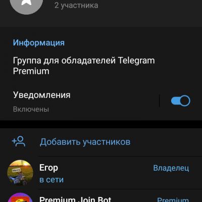 Premium | Русский чат