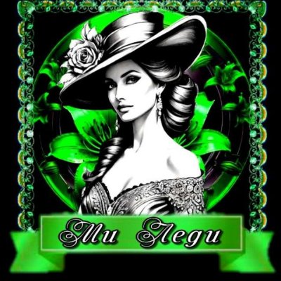 Школа ми-леди видеографа