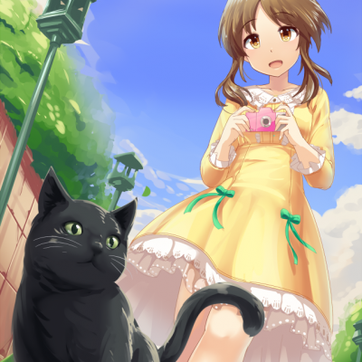 Котуризм 🐈