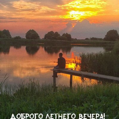 Про жизнь