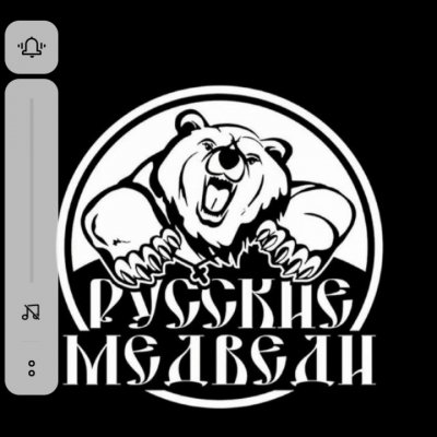 Русские Медведи