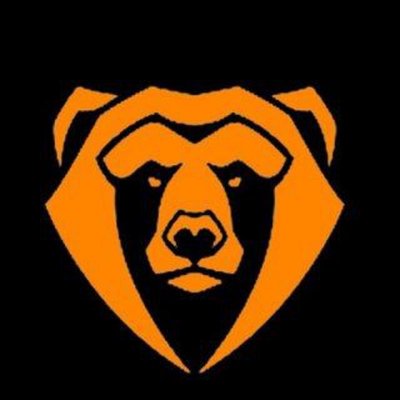 Золотой медведь