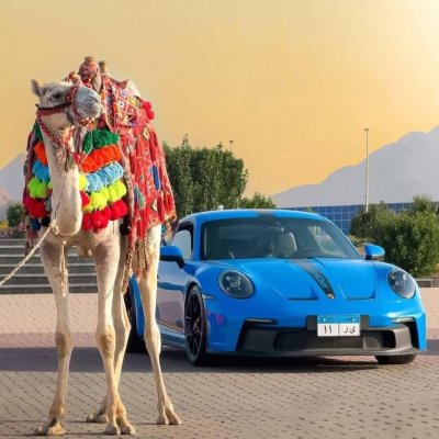 Туры в Египет